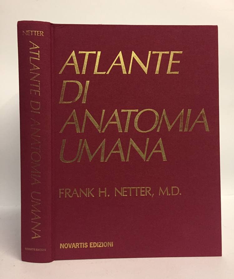 Atlante di anatomia umana. Frank H. Netter, M.D.. Novartis, 1999. -  Equilibri Libreria Torino