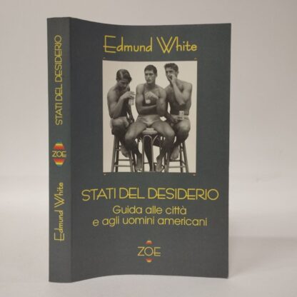 Stati del desiderio. Guida alle città e agli uomini americani. Edmund White. Zoe, 1996.